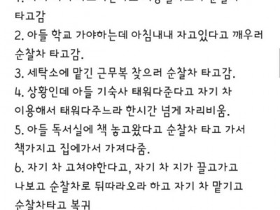 순찰차 사적 이용 사례