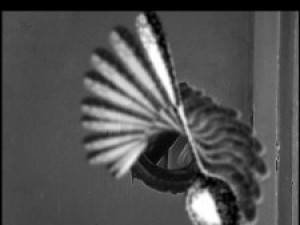 살아가면서 가장 괴이했던 썰툰