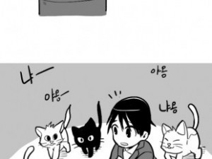 고양이 따라간 썰만화