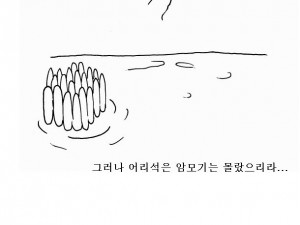 억척 모기