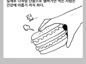 햄버거에 대한 편견과 진실