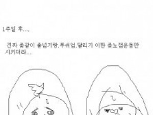 팀장님이랑 종합격투기 다닌 썰만화