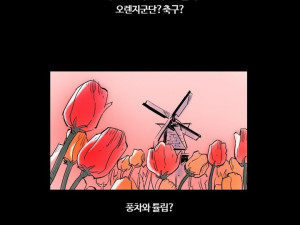 유럽가서 네덜란드 사창가 엘프와 한 썰