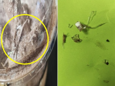 카페서 '플라스틱 스무디' 먹고 유산…본사 가맹계약 해지