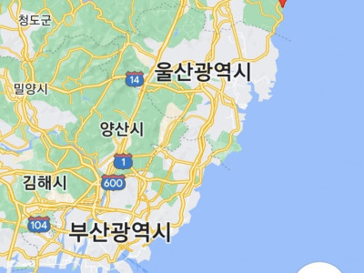 월성 원전 오염수 계속 새고 있어