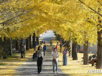 11월 첫 주말은 강하고 많은 비…비 그친 뒤 기온 급락해 '쌀쌀'