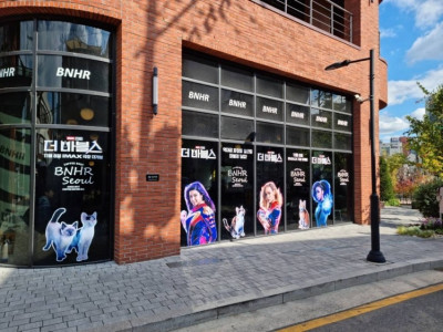 '더 마블스' 유기묘 카페서 만난다…이색 프로모션 뜨거운 반응