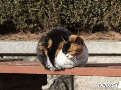 주말까진 -9도 '강추위' 계속…다음주 풀려도 아침 -6도