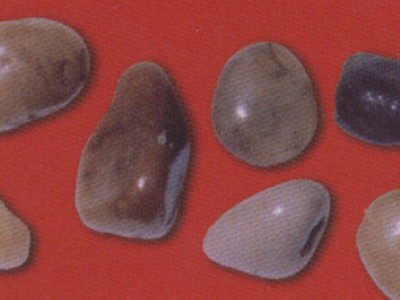 자승 스님 몸에서도 돌이… 불교계 미스터리 '사리'는 어떻게 생기나