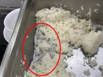 스키장 밥통서 발견된 '이것'…이미 300명 먹은 후