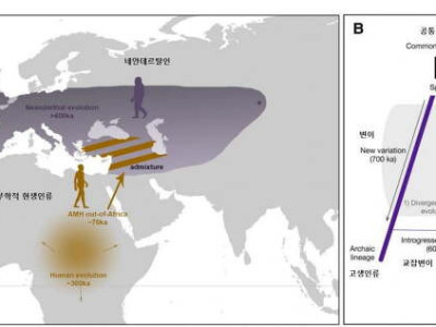 일찍 일어나는 아침형 인간은… 과학계 깜짝 연구 결과 나왔다