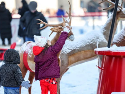 올해는 화이트 크리스마스… 부산도 24년 만에 눈 쌓여
