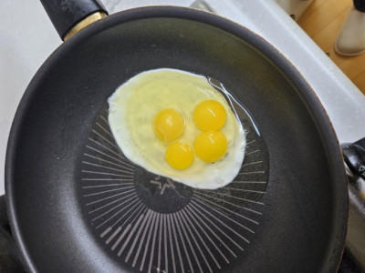 계란 깼더니 노른자 4개가…'110억분의 1'