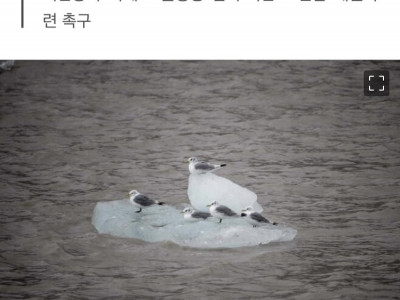 기후책임도 양극화…슈퍼리치 1%가 하위 66%만큼 탄소배출