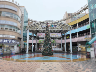 젊음의 거리가 공실의 거리로 라페스타·웨스턴돔·일산 가로수길...파리 날리는 근황