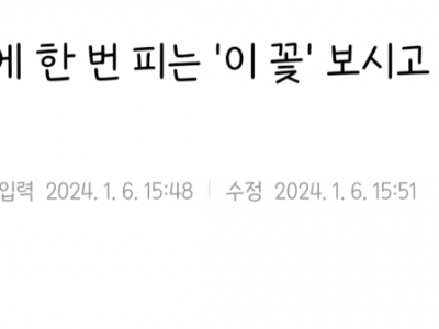 100년에 한 번 피는 '이 꽃' 보시고 복받으세요