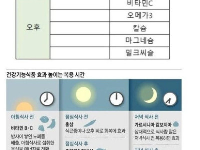 연령대별 영양제 등 꿀팁 모음.jpg