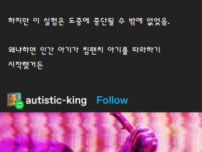 침팬지를 인간처럼 만드는 실험이 실패한 이유.jpg