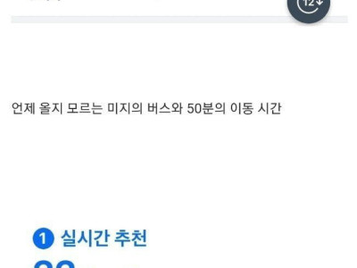 지방 사람들이 차 사는 이유