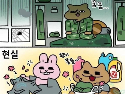 미필들은 모르는 군대 냄새