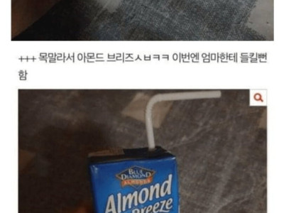 새벽에 몰래 복숭아 먹는중
