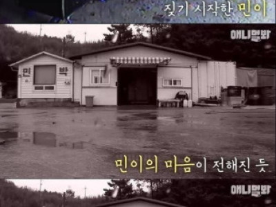 주인님이 갇혔어요 도와주세요