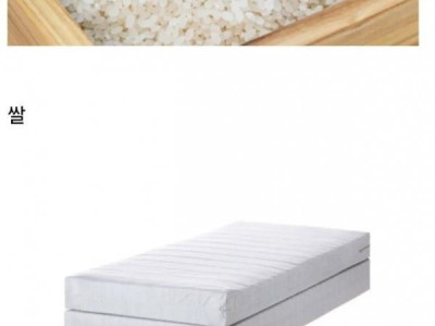 돈 아까워도 비싼 거 써야하는 4가지