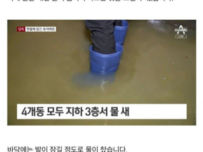 초고층 신축 아파트 지하주차장 대참사.jpg