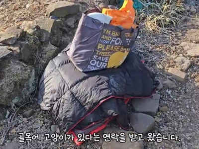 고양이 유튜버에게 생긴 일