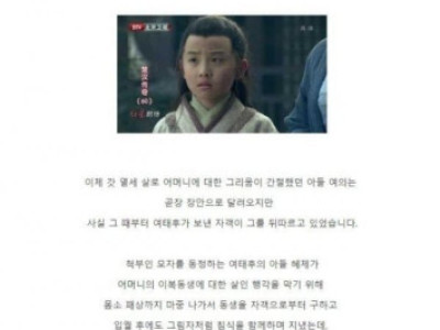 중국 인간돼지 사건