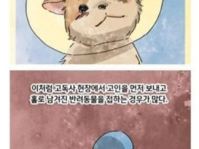 고독사 현장에 남겨진 강아지..jpg