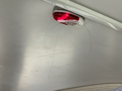 우리는 이 사진을 보고 누군가의 고통을 이해 할 수 있습니다..jpg