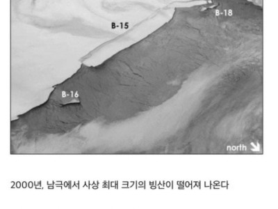 운이 더럽게 좋은 잠수부