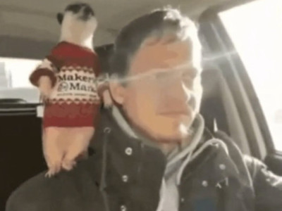 살아있는 전방카메라