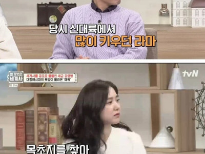 처음으로 인간이 매독에 감염된 원인.jpg