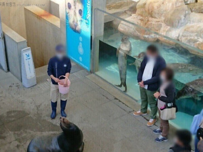 바다사자 먹이 주는거 구경하는 관람객.jpg