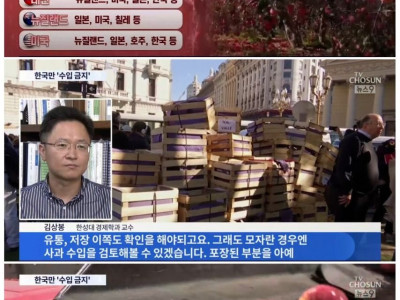 TVㅈ선조차 우려했던 한국의 사과 수입 근황.jpg