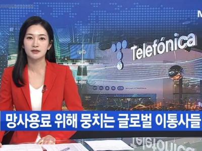 한국이 쏘아올린 작은 공.jpg