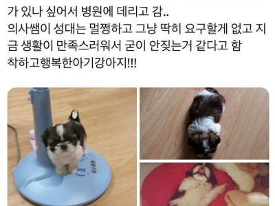 강아지가 반년동안 한 번도 안 짖은 이유.jpg
