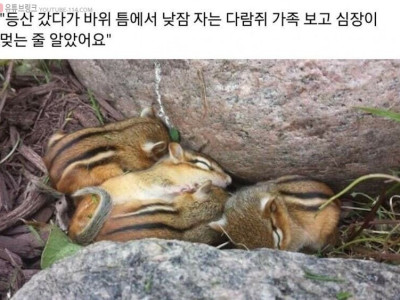 등산하다가 심장이 멎을뻔.jpg