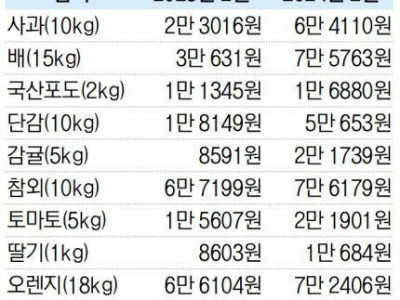 1년 사이 주요 과일 가격 비교.jpg