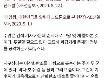 '산지 태양광 난개발'의 주범