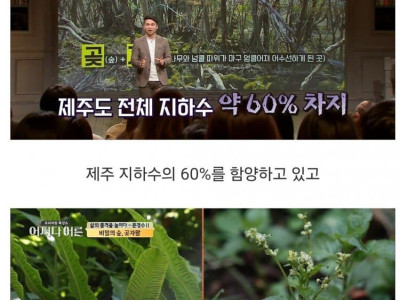 비밀이 밝혀진 것이 오히려 비극이 된 숲.jpg