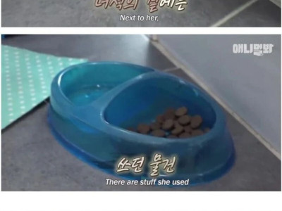 개를 버린 이유.jpg