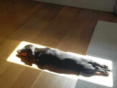 아..따뜻하고 조타.jpg