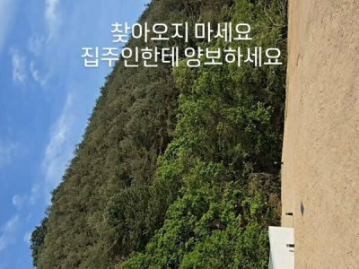 모델 한혜진 근황.jpg