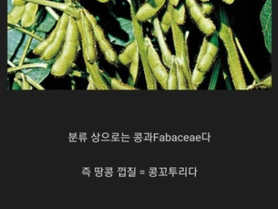 생각보다 의외인 <식물>에 관한 몇가지 사실.jpg